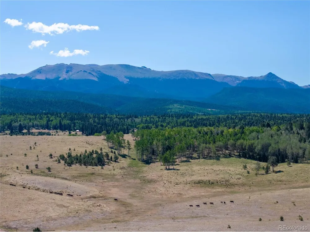 1014 Elfin Glen Drive Divide, CO 80814