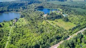 Willow Trace Drive
