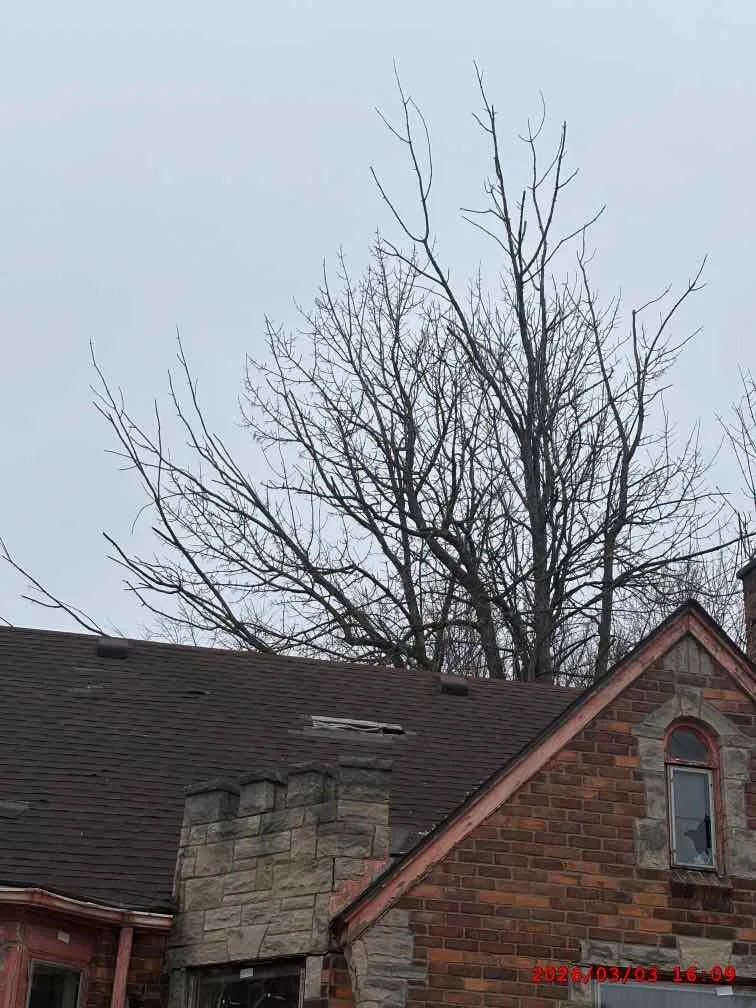 4605 Bedford Street Detroit, MI 48224