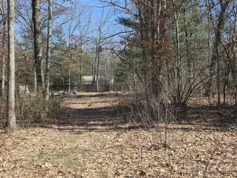 Grant Drive