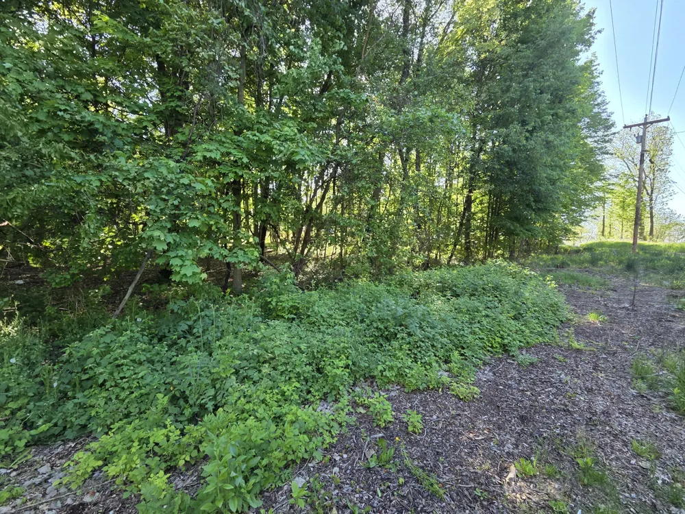 Lindburg Drive Dowagiac, MI 49047