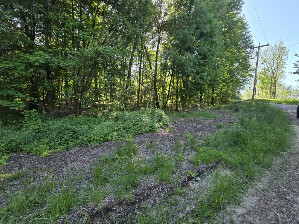 Lindburg Drive Dowagiac, MI 49047