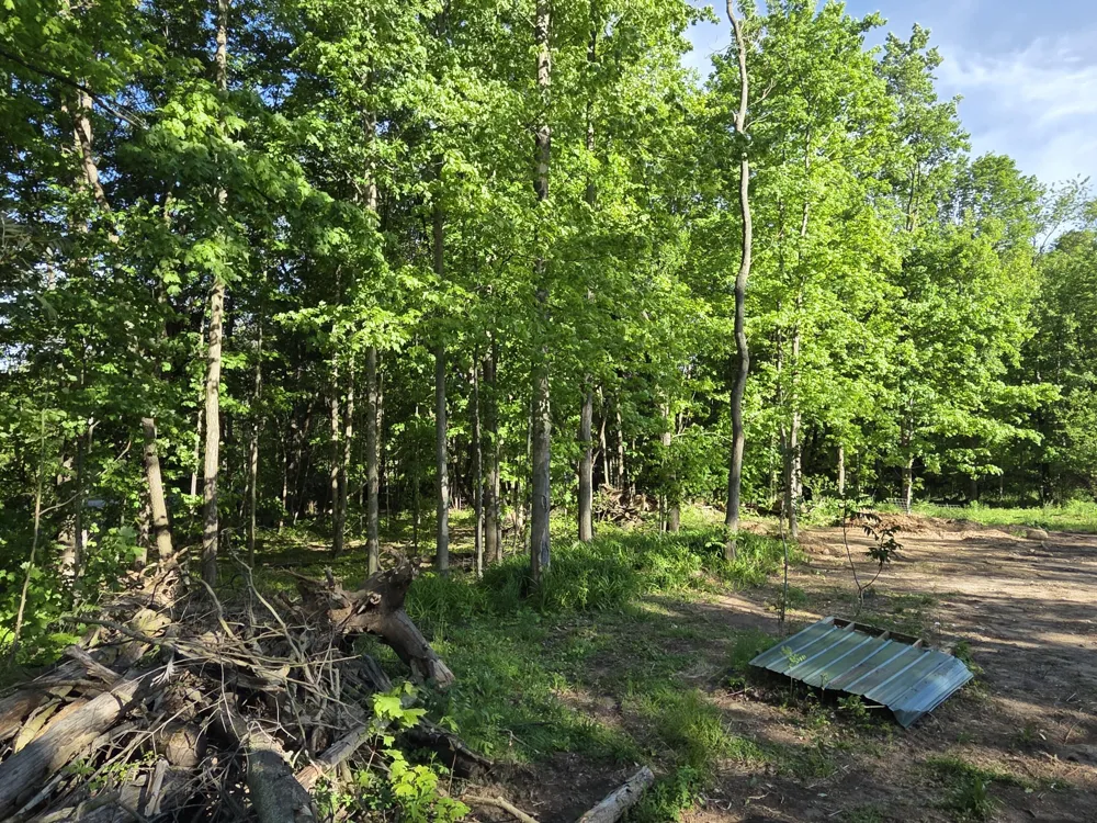 Lindburg Drive Dowagiac, MI 49047