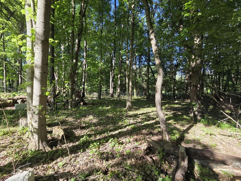 Lindburg Drive Dowagiac, MI 49047