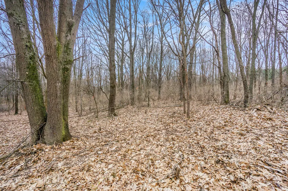 7 Highfield Road Three Rivers, MI 49093