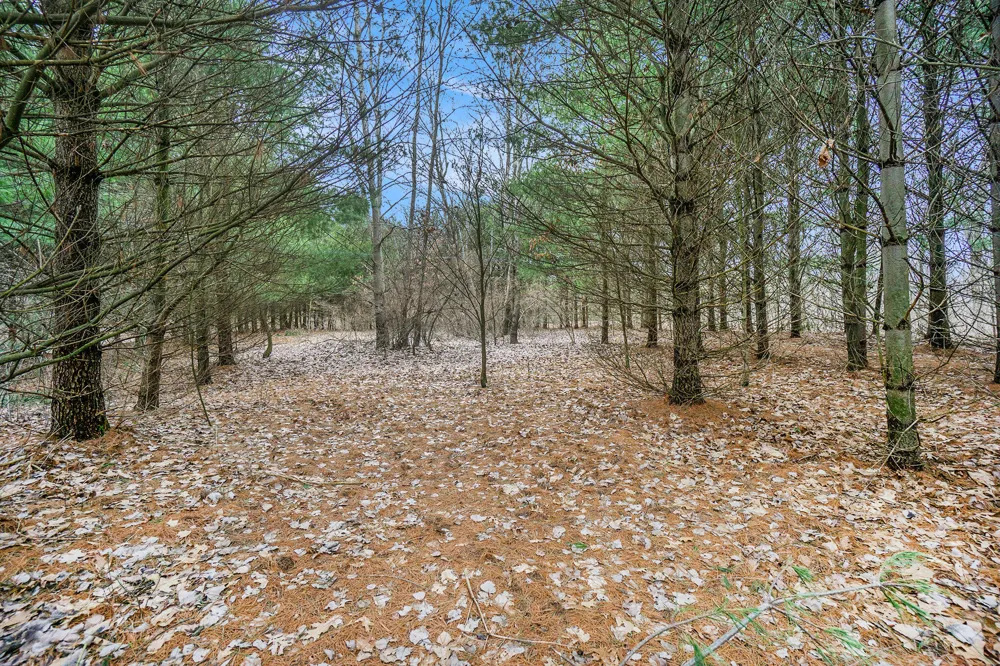 6 Highfield Road Three Rivers, MI 49093