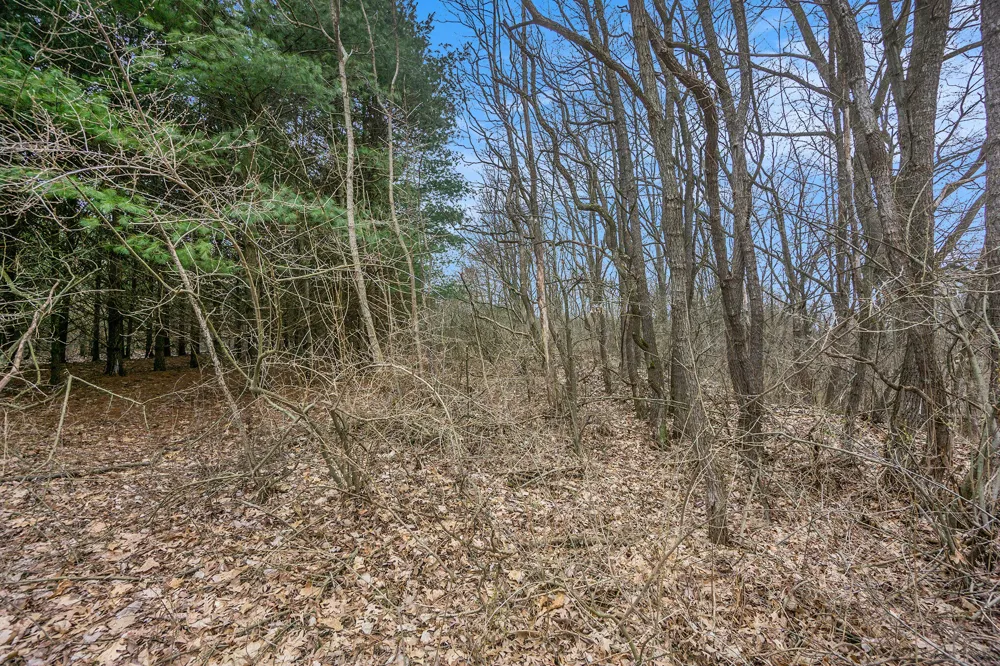 6 Highfield Road Three Rivers, MI 49093