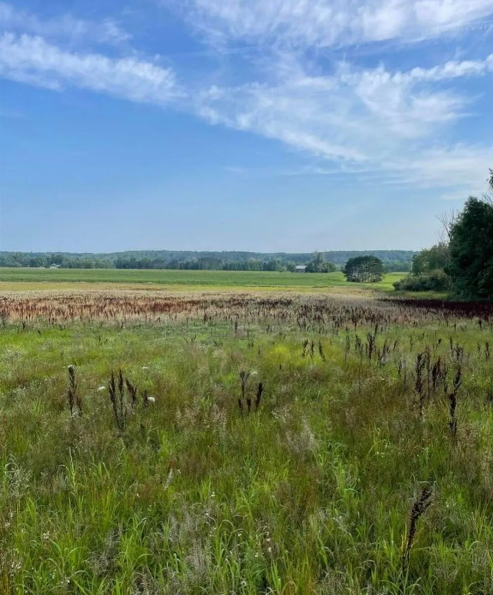 10 +/- 3 Mile Road Reed City, MI 49677