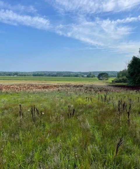 10 +/- 3 Mile Road