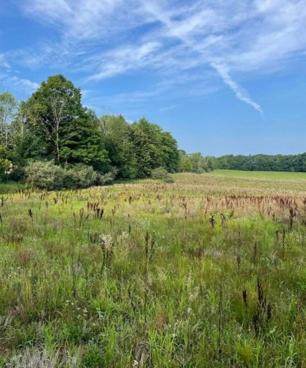 10 +/- 3 Mile Road Reed City, MI 49677