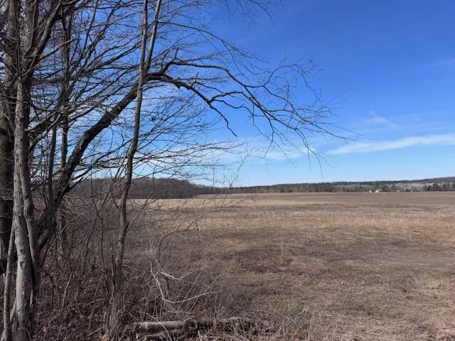 10 +/- 3 Mile Road Reed City, MI 49677