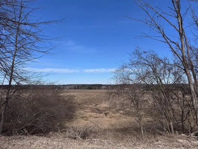 10 +/- 3 Mile Road Reed City, MI 49677