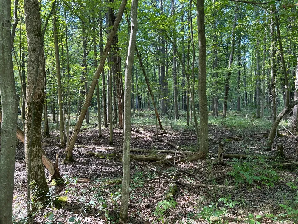 3100 W Isabella Road Shepherd, MI 48883