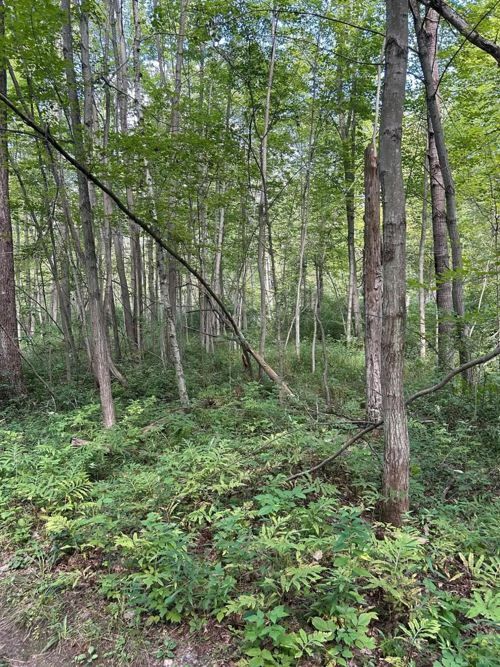 3100 W Isabella Road Shepherd, MI 48883