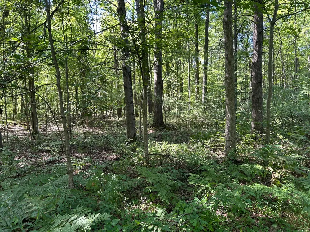 3250 W Isabella Road Shepherd, MI 48883