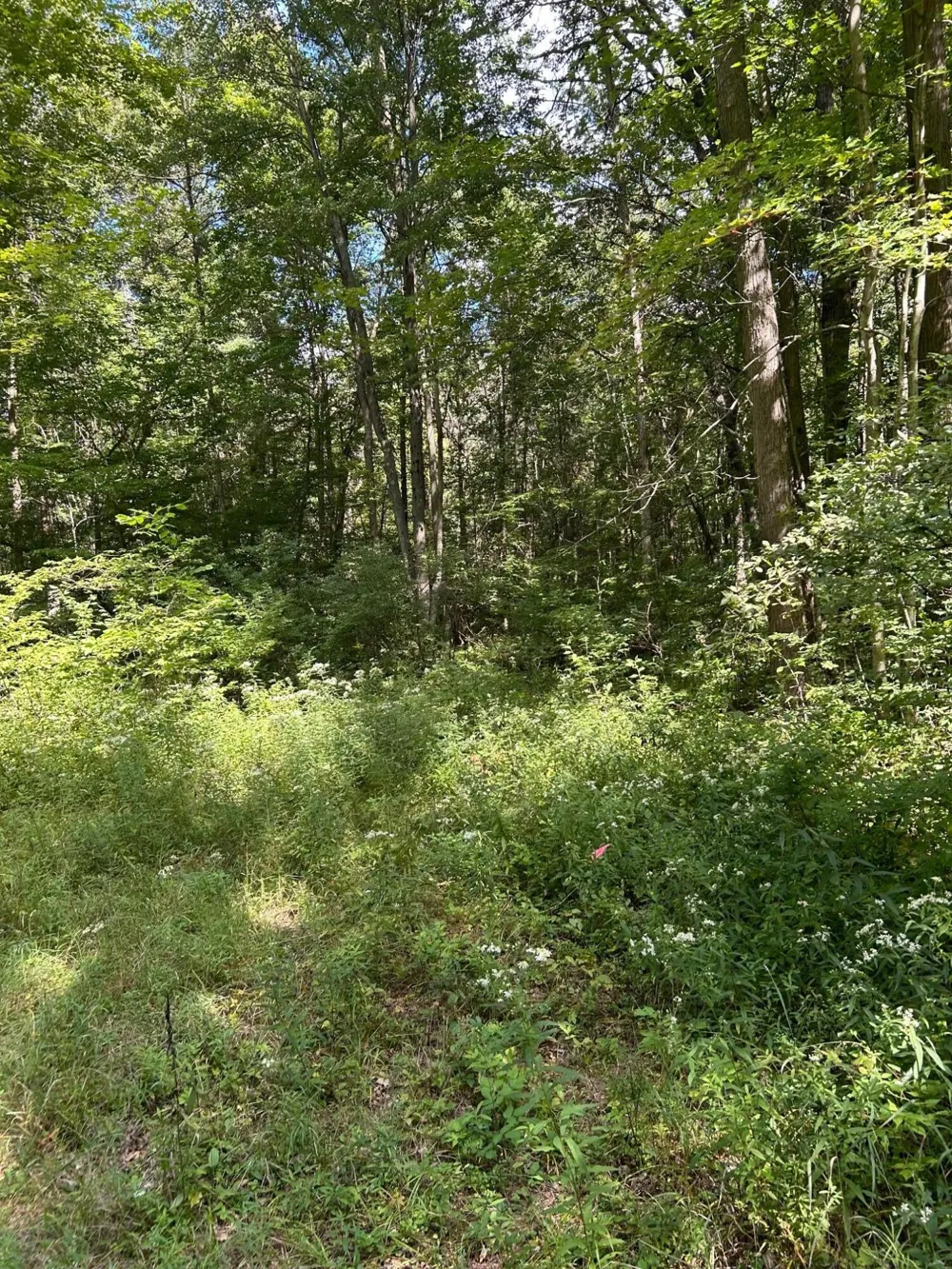 3250 W Isabella Road Shepherd, MI 48883