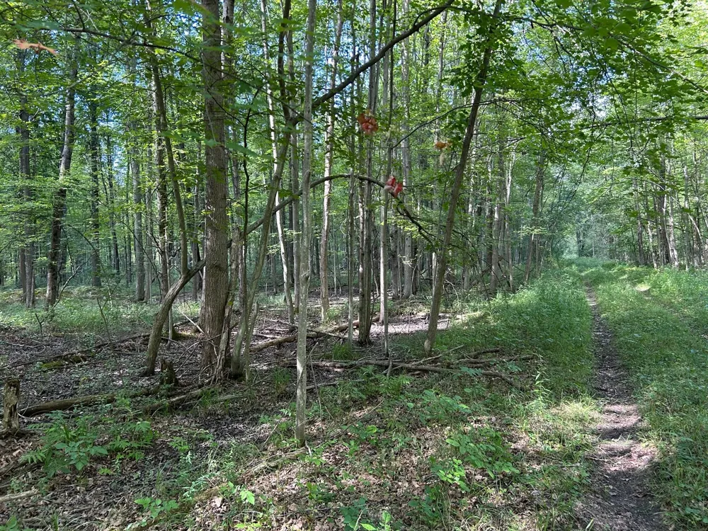 3250 W Isabella Road Shepherd, MI 48883