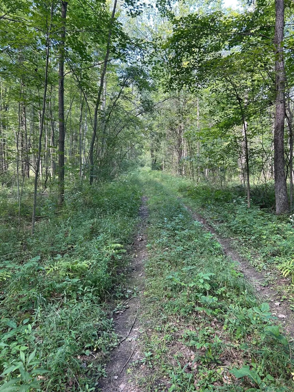 3250 W Isabella Road Shepherd, MI 48883