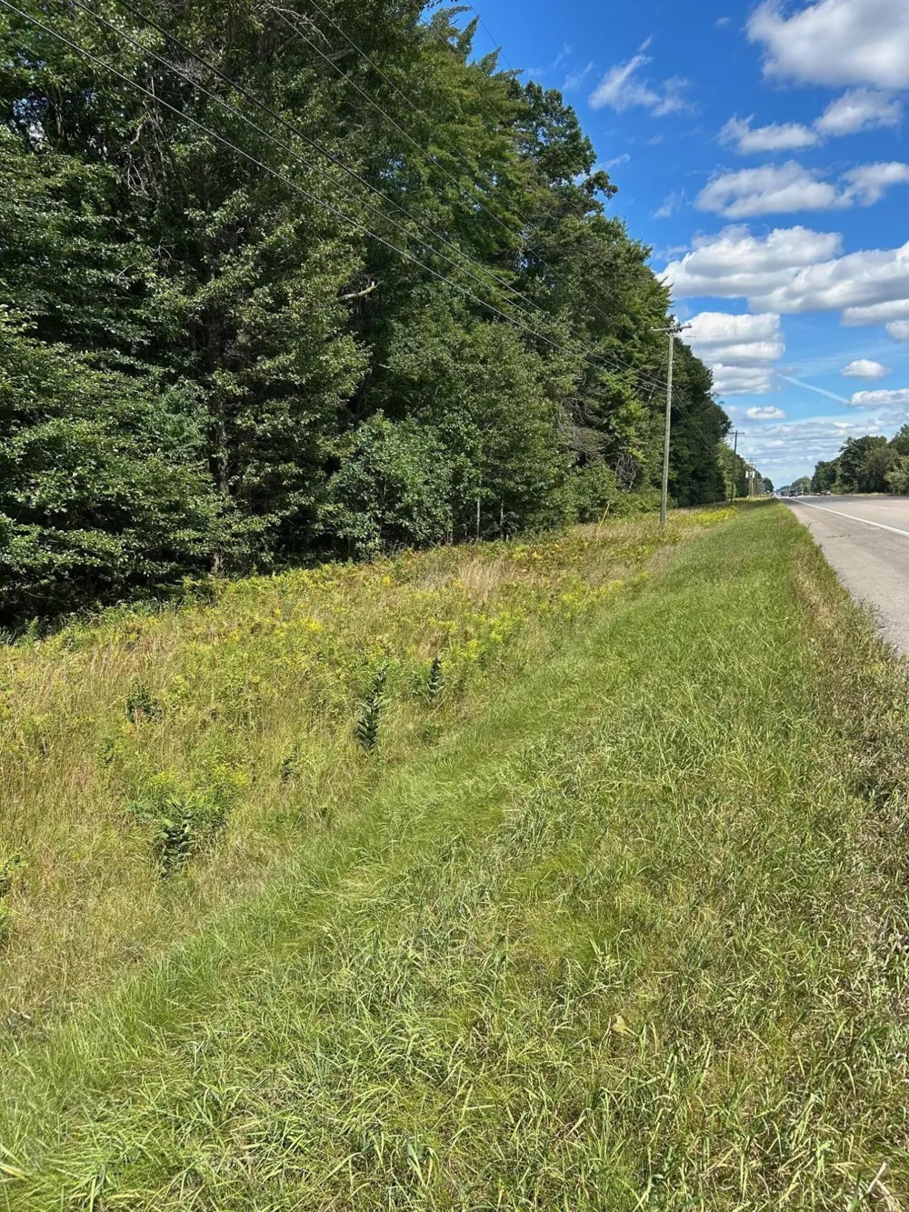 3250 W Isabella Road Shepherd, MI 48883