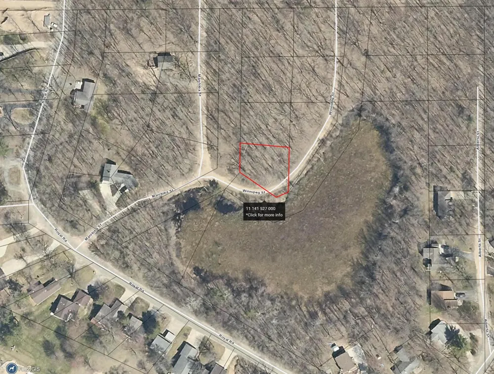 8426 Manitoba Street Stanwood, MI 49346