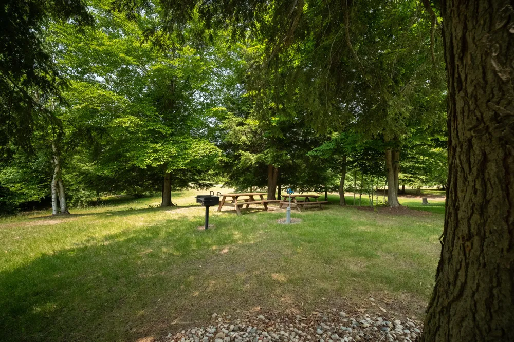 10201 Opal Ridge Drive Onekama, MI 49675