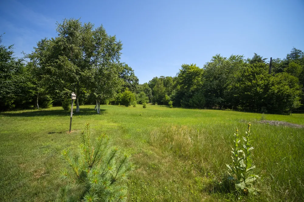 10201 Opal Ridge Drive Onekama, MI 49675