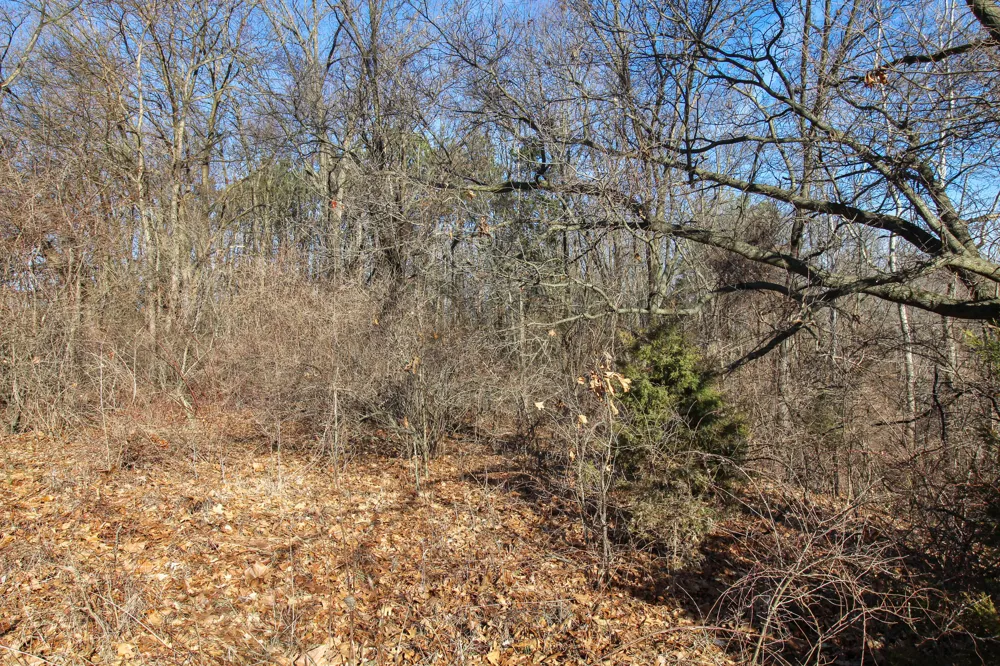 Shorewood Lot 1 Drive Three Rivers, MI 49093
