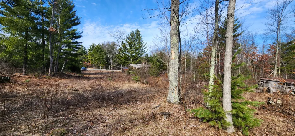 7746 Woodbridge Road White Cloud, MI 49349