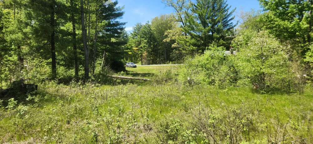 7746 Woodbridge Road White Cloud, MI 49349