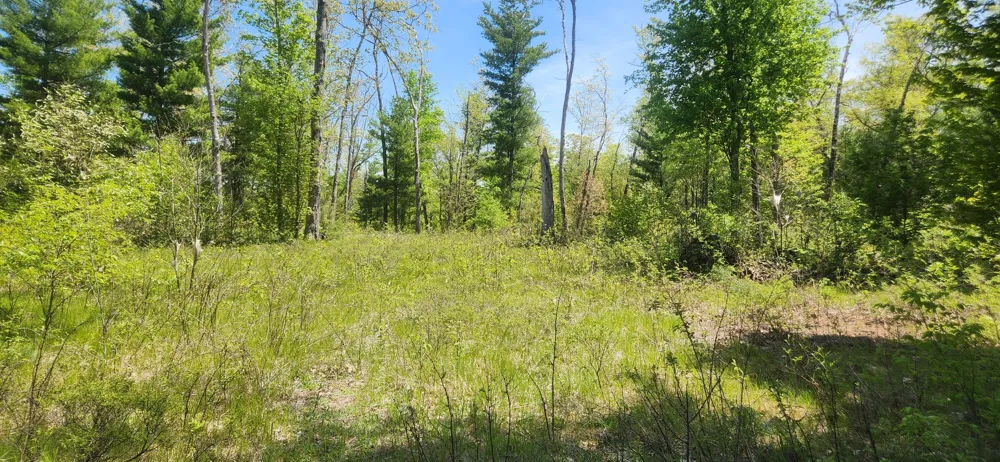 7746 Woodbridge Road White Cloud, MI 49349