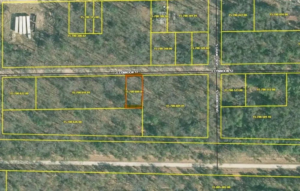 E Lynndon Street Idlewild, MI 49642