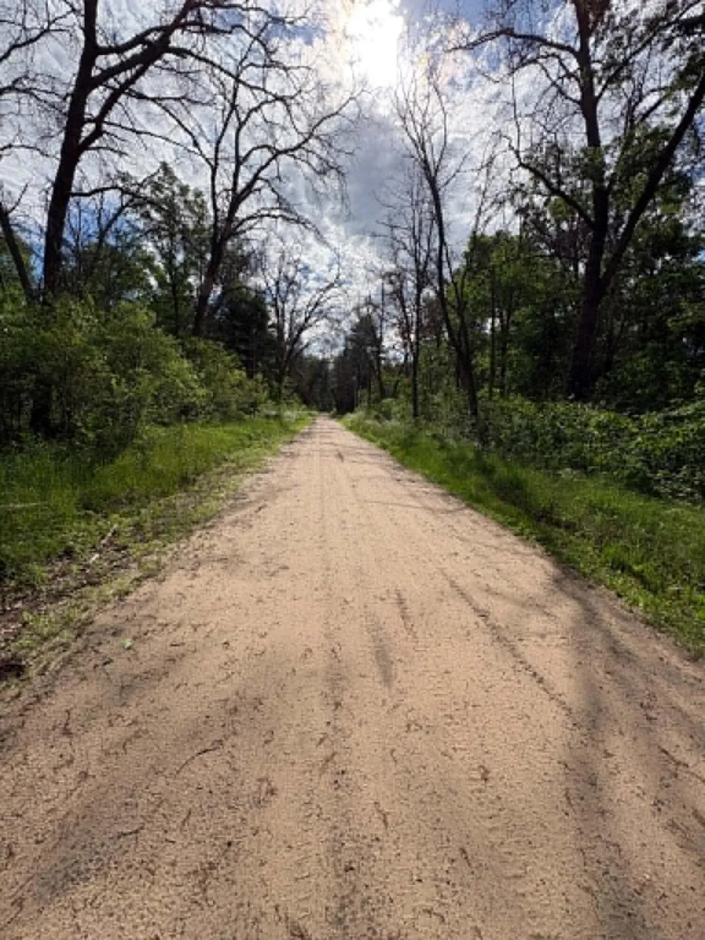 E Lynndon Street Idlewild, MI 49642