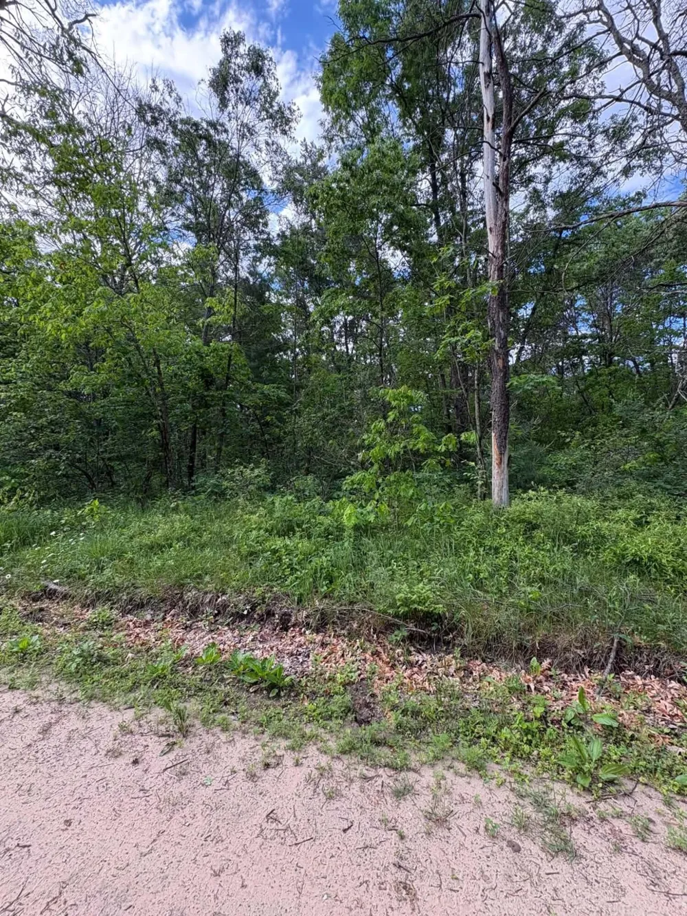 E Lynndon Street Idlewild, MI 49642