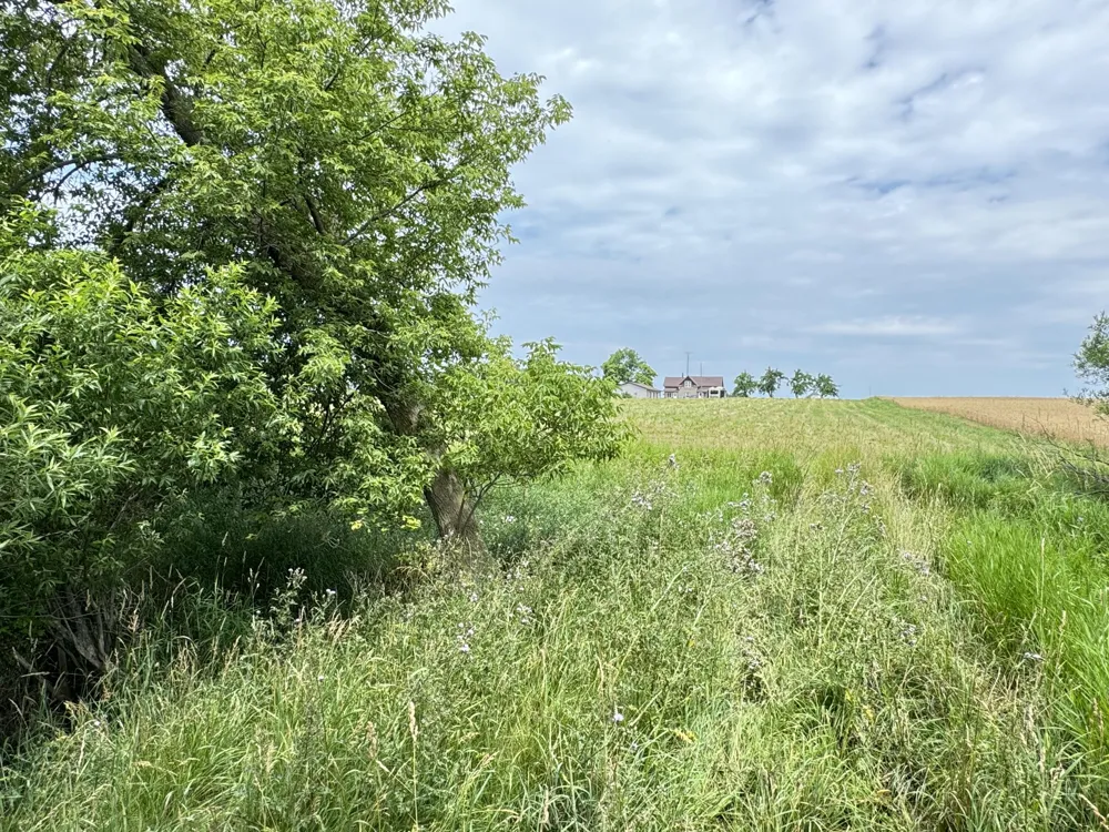 5818 US Highway 31 Free Soil, MI 49411