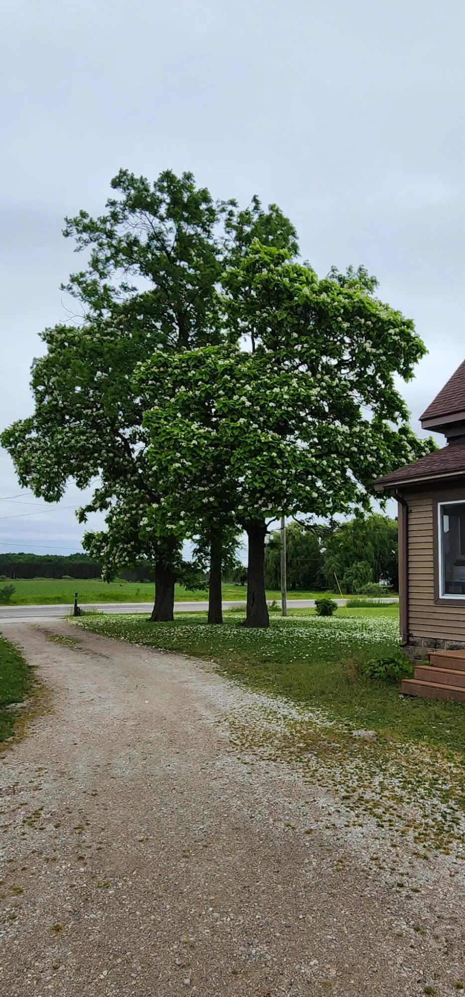 5818 US Highway 31 Free Soil, MI 49411