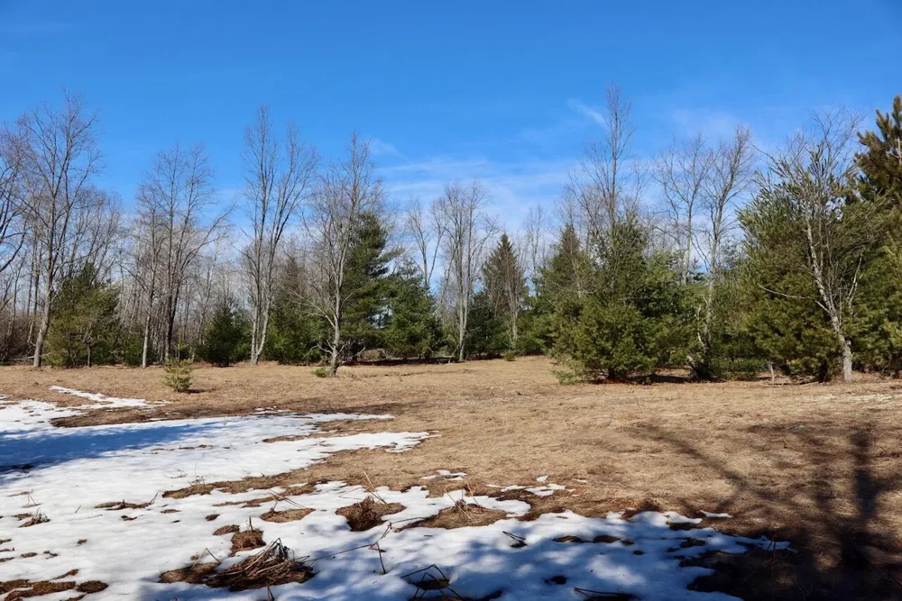 200th Avenue Tustin, MI 49688