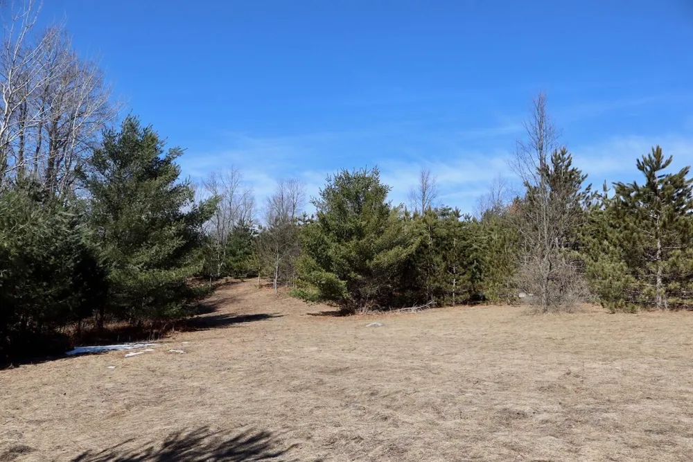 200th Avenue Tustin, MI 49688