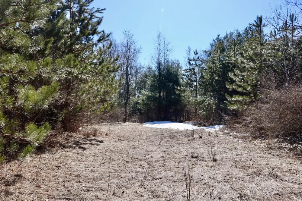 200th Avenue Tustin, MI 49688