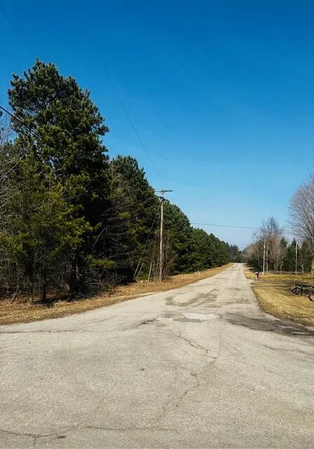 Twelfth Street Bear Lake, MI 49614