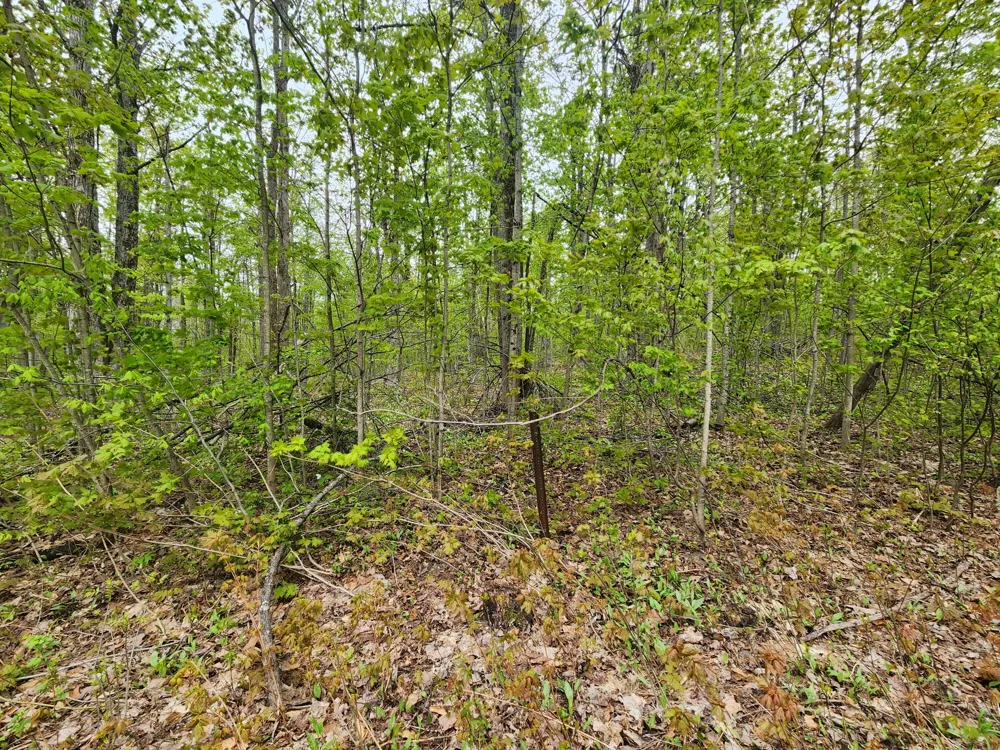 Valleyridge Circle Alba, MI 49611