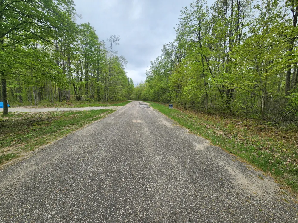 Valleyridge Circle Alba, MI 49611