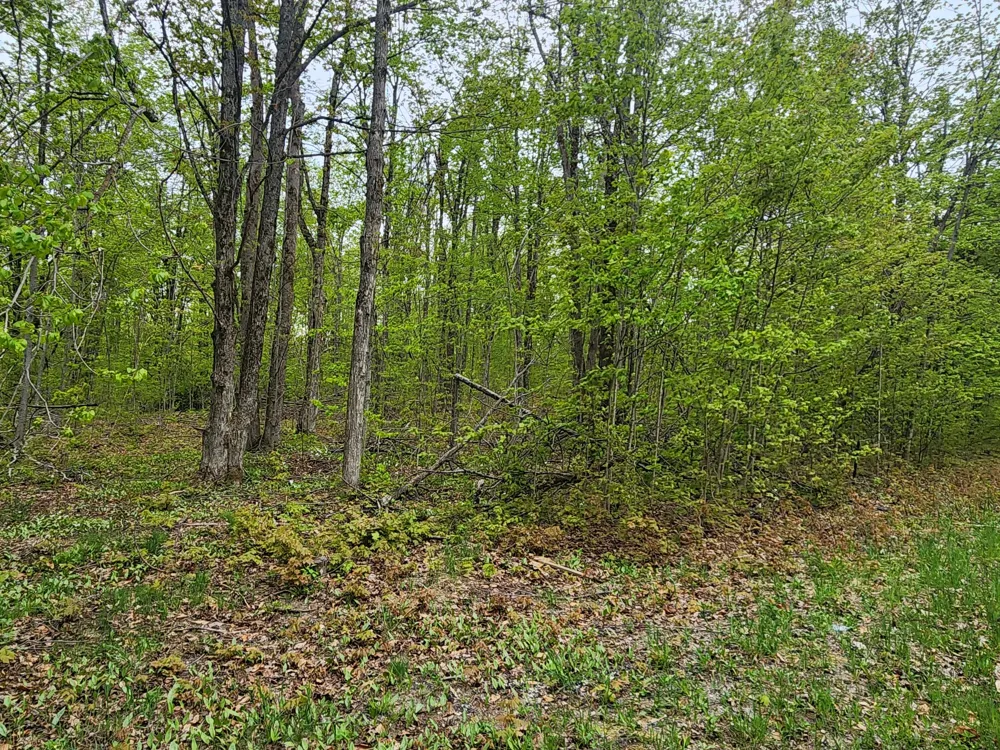 Valleyridge Circle Alba, MI 49611