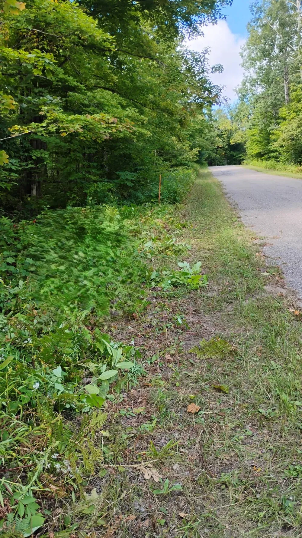 Valleyridge Circle Alba, MI 49611