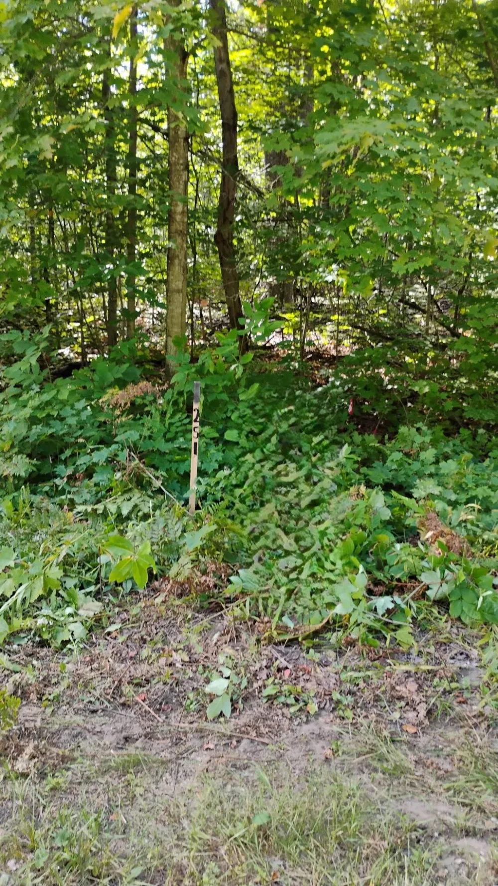 Valleyridge Circle Alba, MI 49611