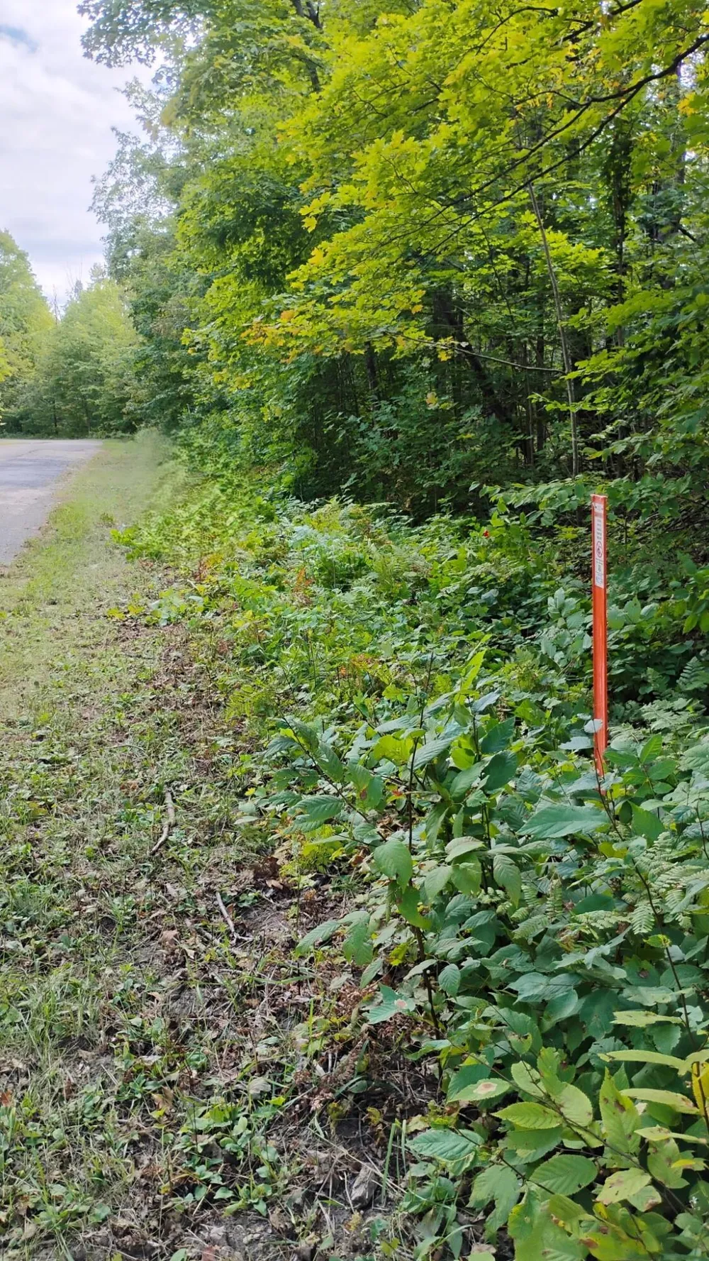 Valleyridge Circle Alba, MI 49611