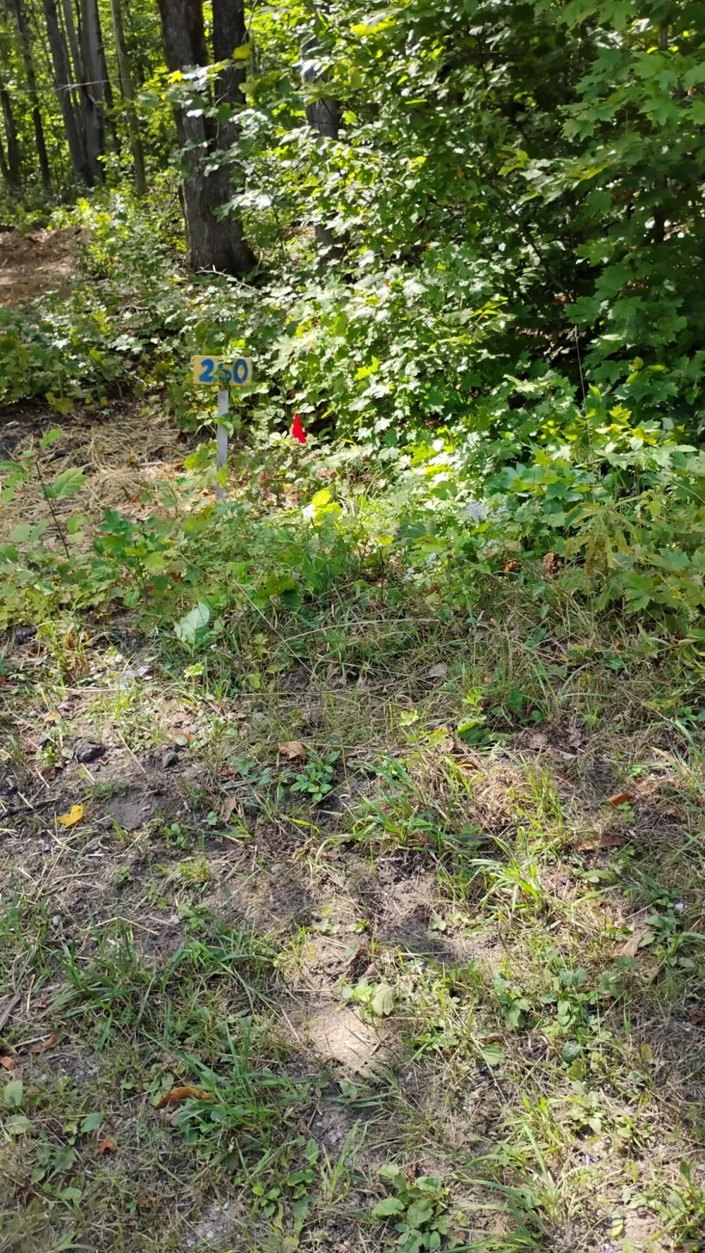 Valleyridge Circle Alba, MI 49611