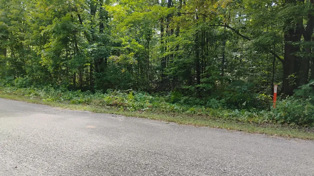 Valleyridge Circle Alba, MI 49611