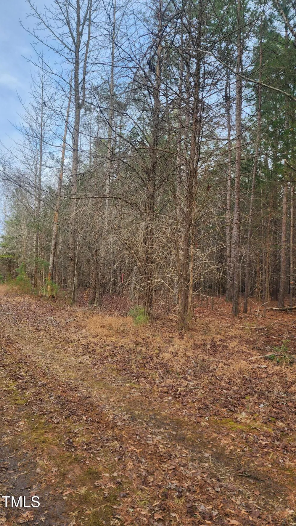00 Northpointe Farms Trail Efland, NC 27243