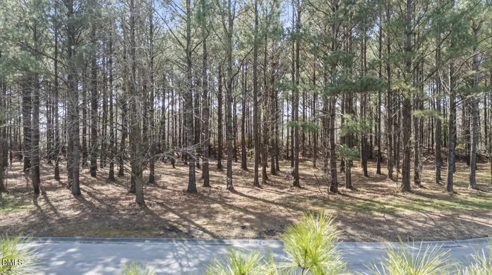 121 W Grandiflora Drive Wallace, NC 28466