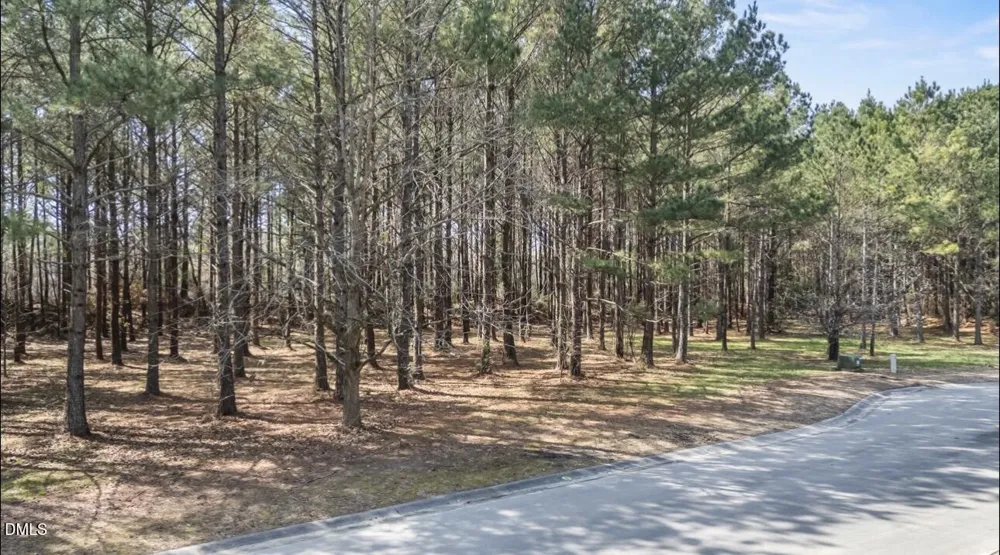 121 W Grandiflora Drive Wallace, NC 28466